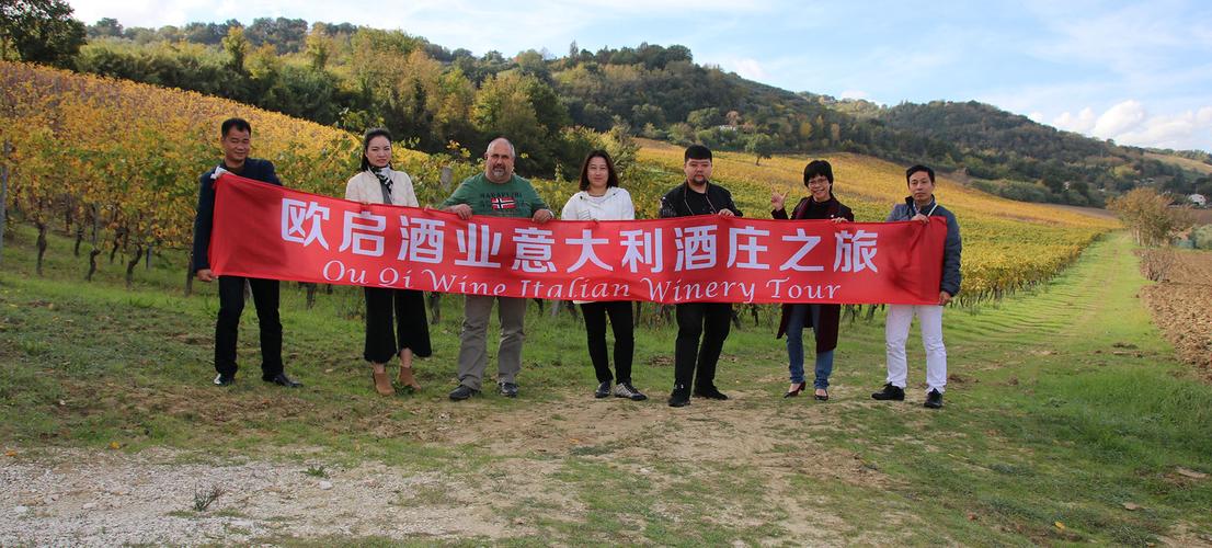 掌舵酒業(yè)進出口 在互聯網時代的藍海中破浪前行